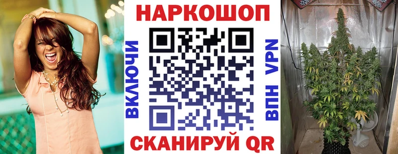 Где продают наркотики Ардатов Псилоцибиновые грибы  Меф  Alpha-PVP 