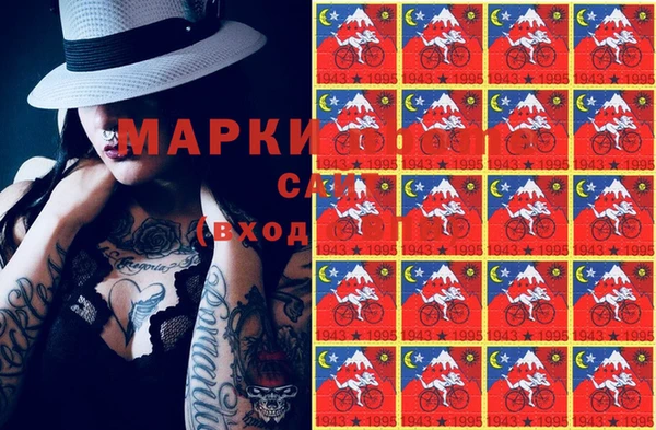 прущий лед Алзамай