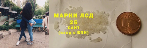 прущий лед Алзамай