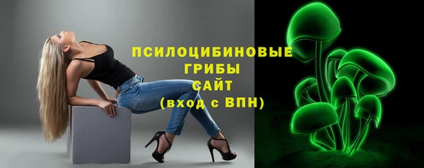 прущий лед Алзамай