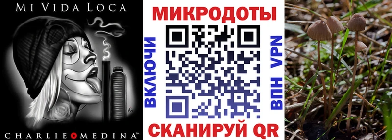 Псилоцибиновые грибы Cubensis  Ардатов 